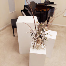 Load image into Gallery viewer, Party Prop - Wooden Plinths/Pedestals/Pillars (Set of 3)